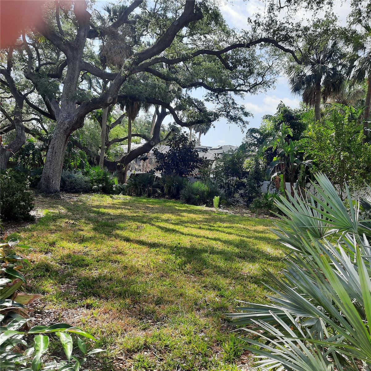 4806 W SAN JOSE ST, TAMPA, FL — photo 5