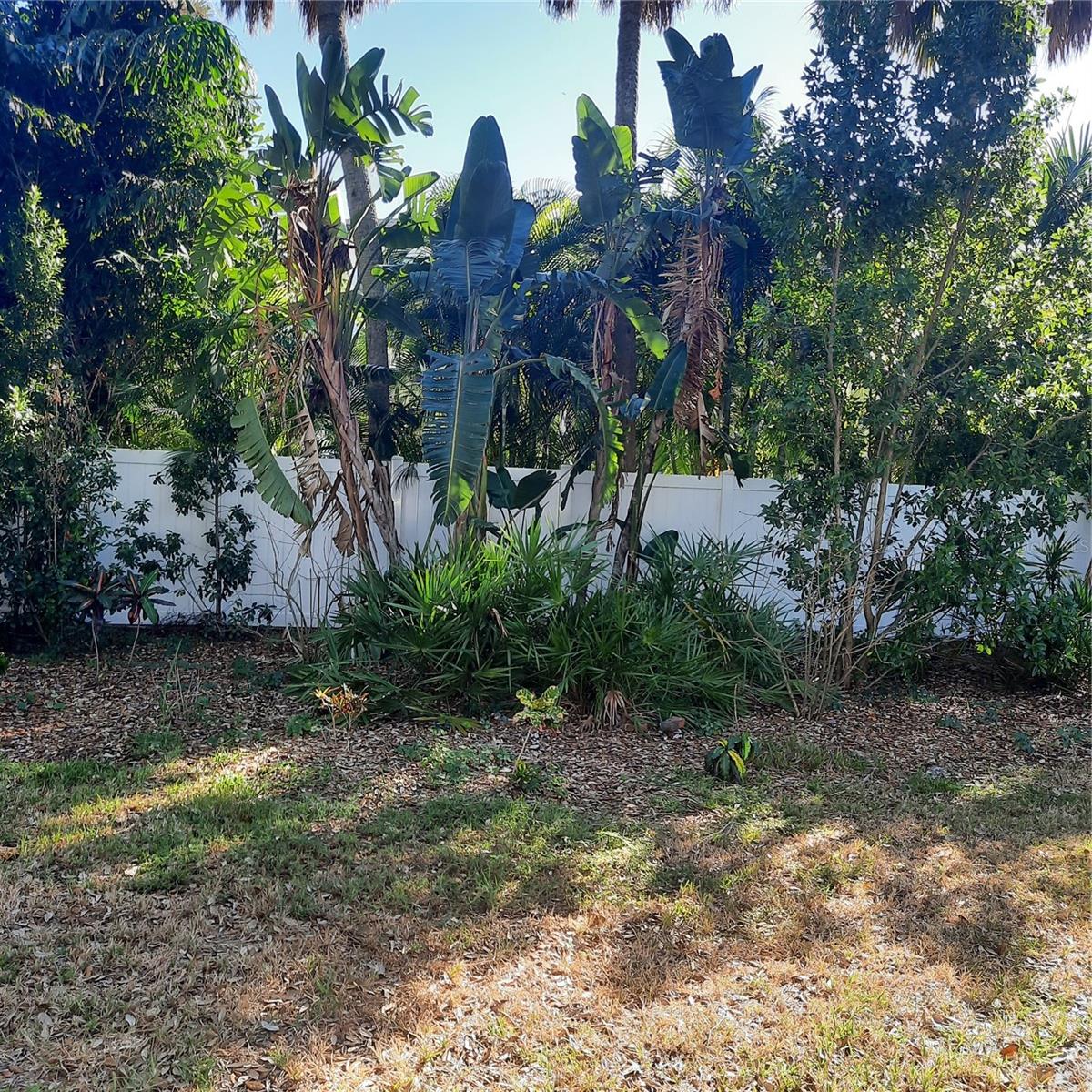 4806 W SAN JOSE ST, TAMPA, FL — photo 8