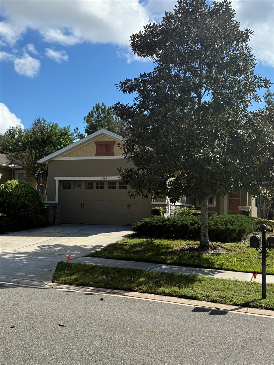 21846 BELGIAN CT, MOUNT DORA, FL — photo 4