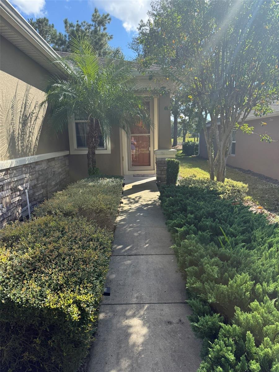 21846 BELGIAN CT, MOUNT DORA, FL — photo 5