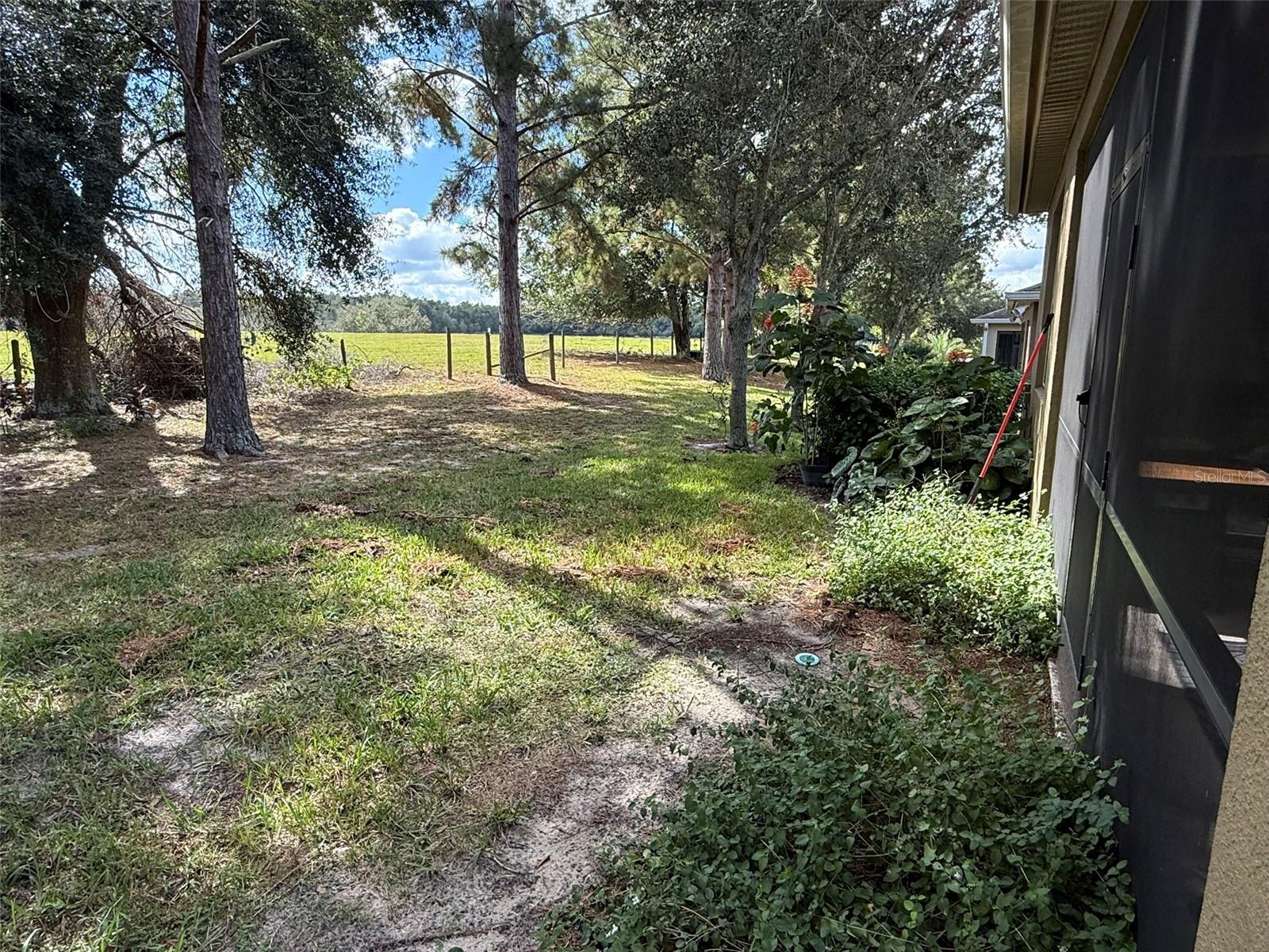 21846 BELGIAN CT, MOUNT DORA, FL — photo 47