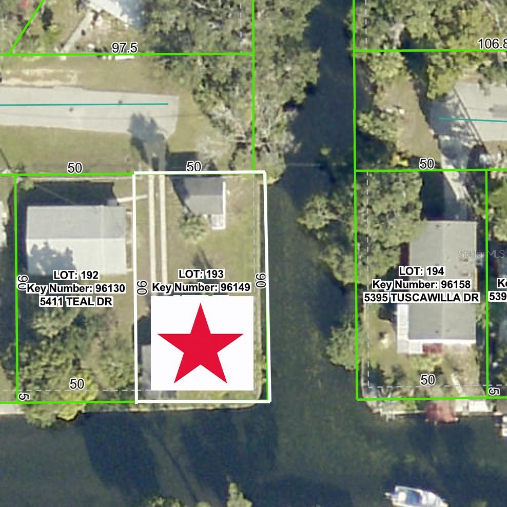 TEAL DR, WEEKI WACHEE, FL — photo 4