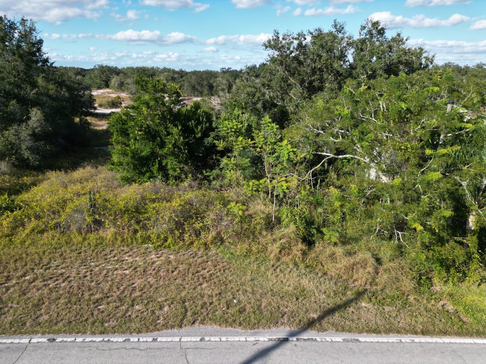 LIBBY RD, BABSON PARK, FL — photo 6