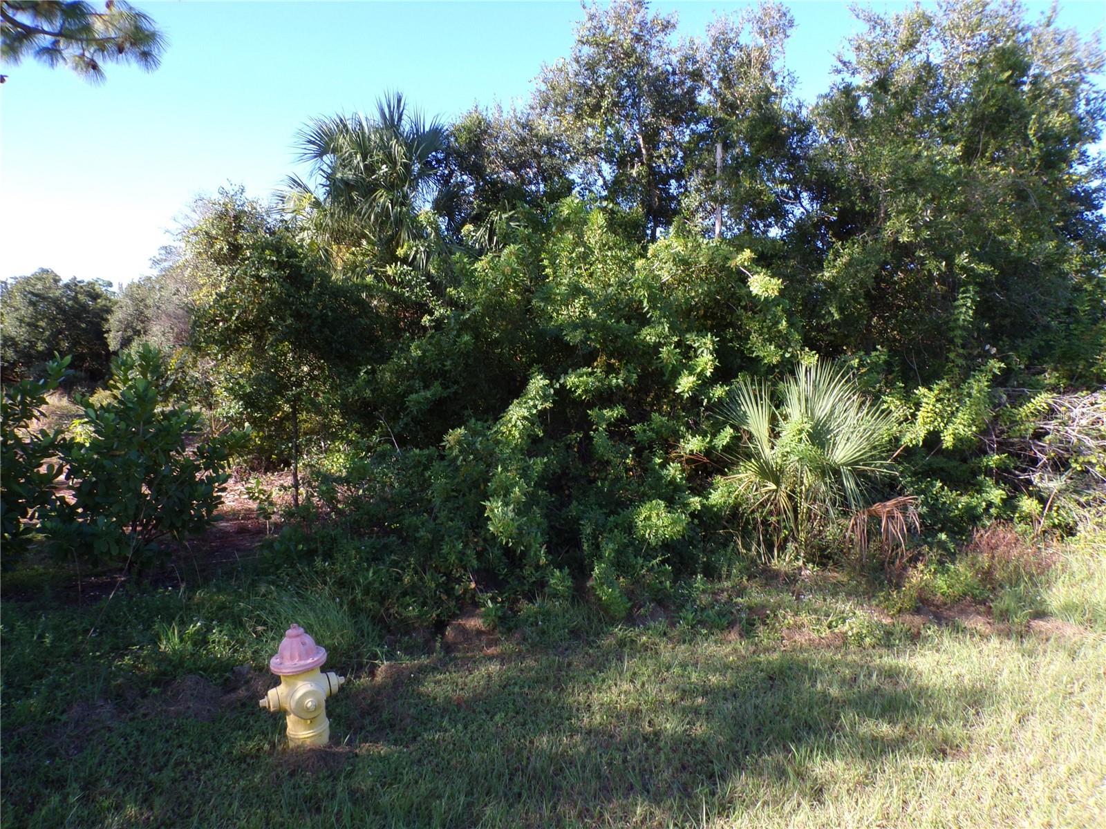 25079 HARBORSIDE BLVD, PUNTA GORDA, FL — photo 10