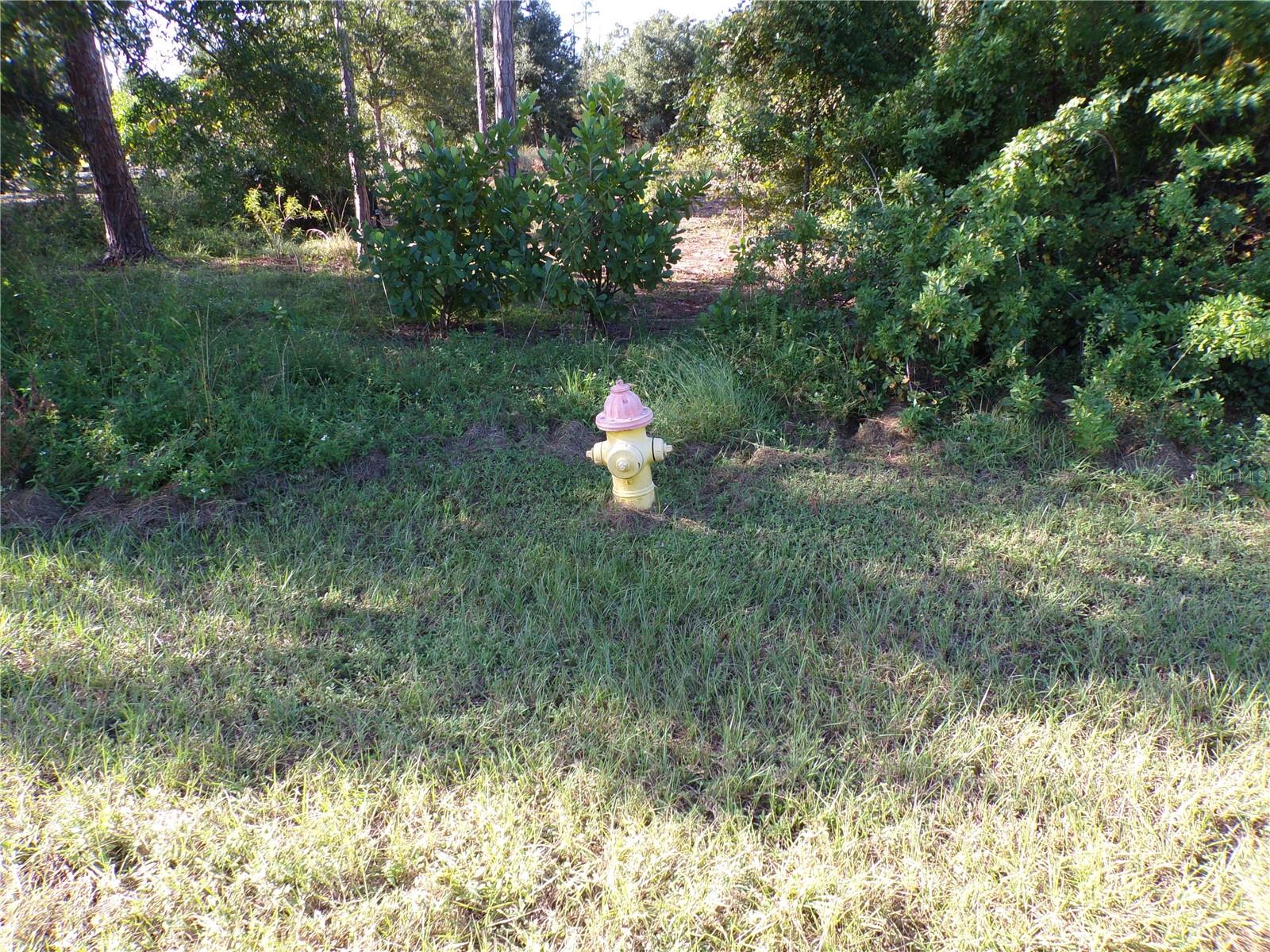 25079 HARBORSIDE BLVD, PUNTA GORDA, FL — photo 13