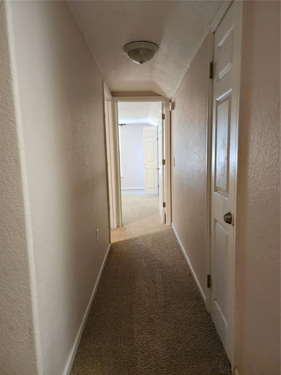 24247 WOLF BRANCH RD, SORRENTO, FL — photo 75