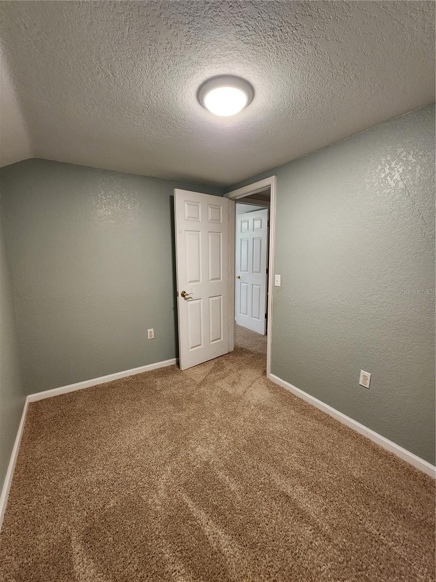 24247 WOLF BRANCH RD, SORRENTO, FL — photo 80