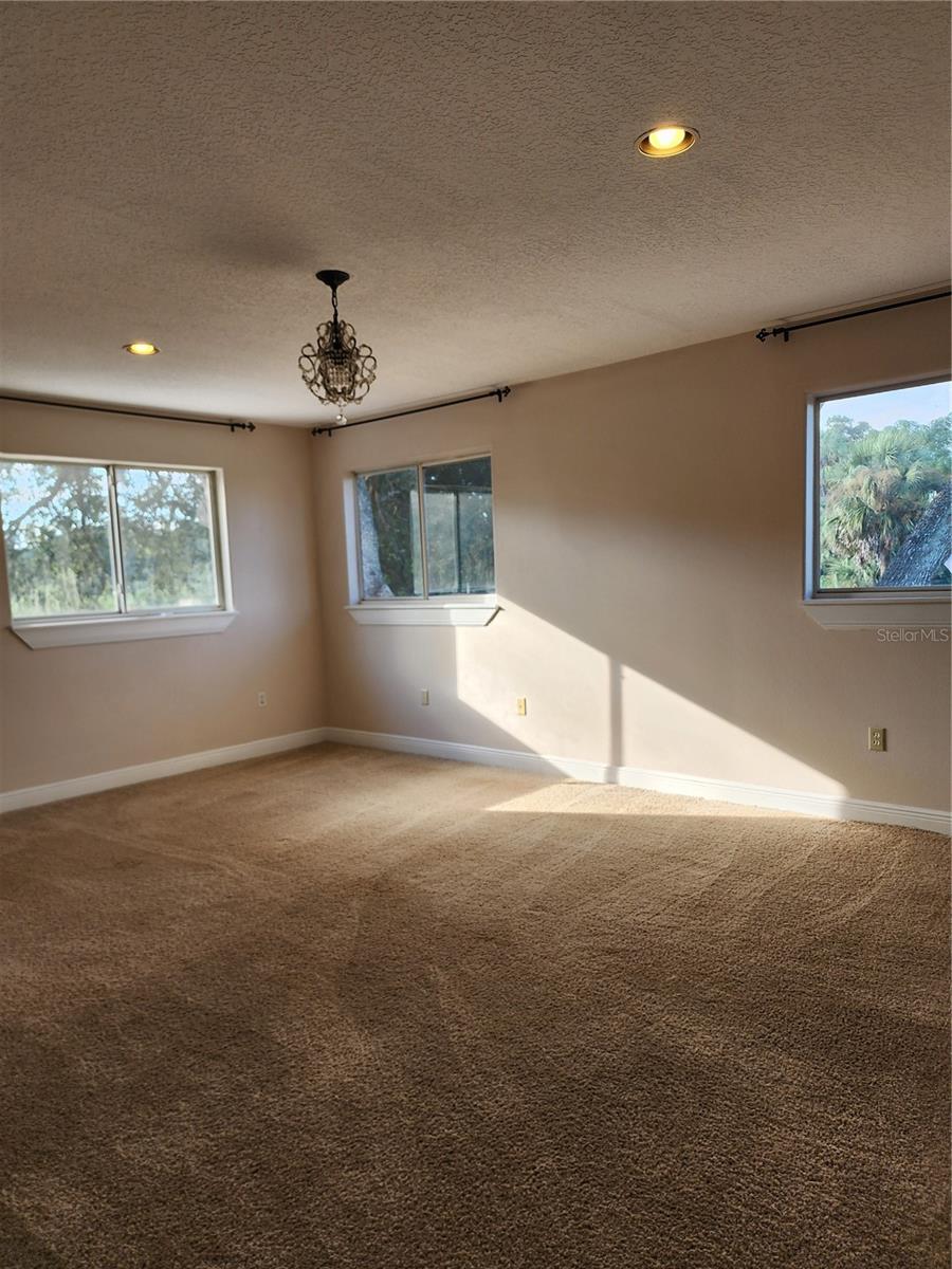 24247 WOLF BRANCH RD, SORRENTO, FL — photo 90