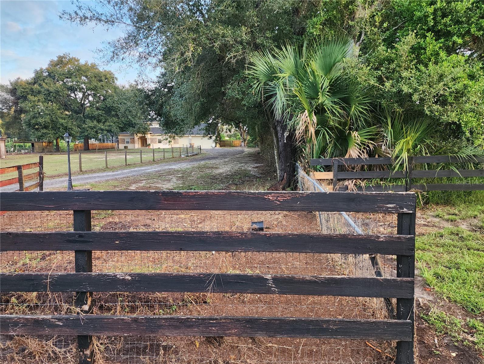 24247 WOLF BRANCH RD, SORRENTO, FL — photo 133