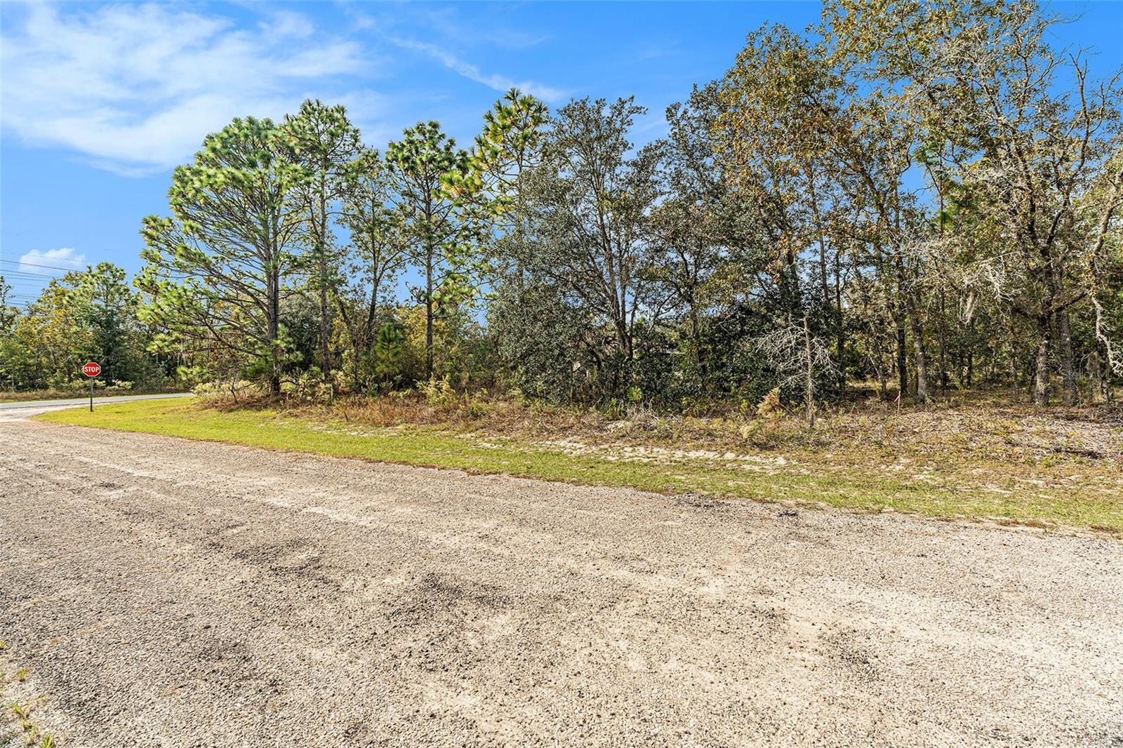 1541 W RILEY DR, DUNNELLON, FL — photo 9