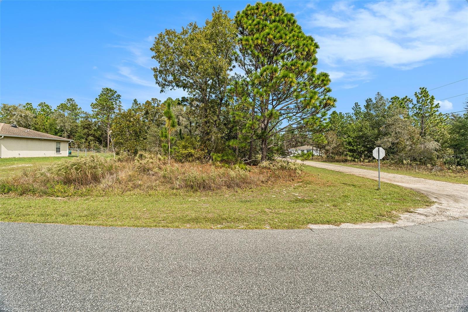 1541 W RILEY DR, DUNNELLON, FL — photo 3