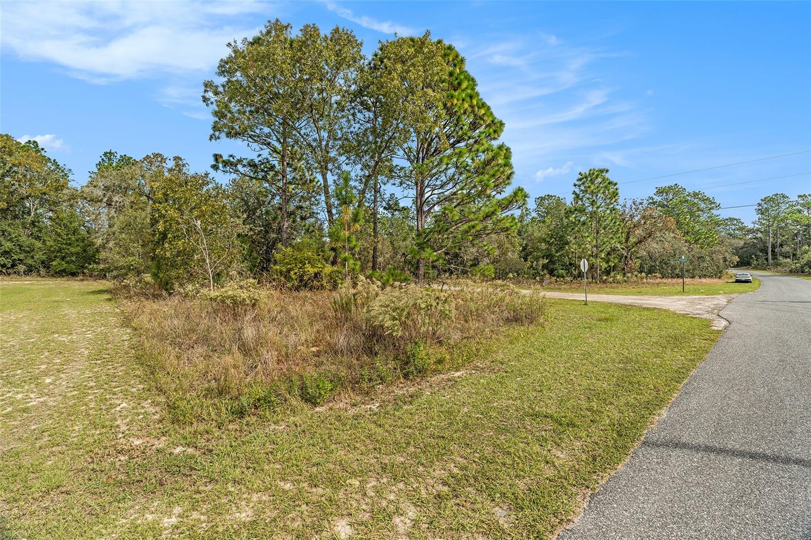 1541 W RILEY DR, DUNNELLON, FL — photo 5