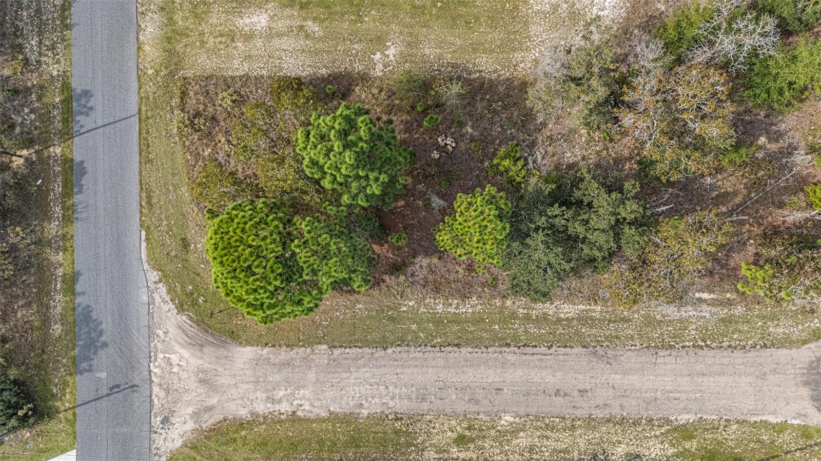 1541 W RILEY DR, DUNNELLON, FL — photo 10