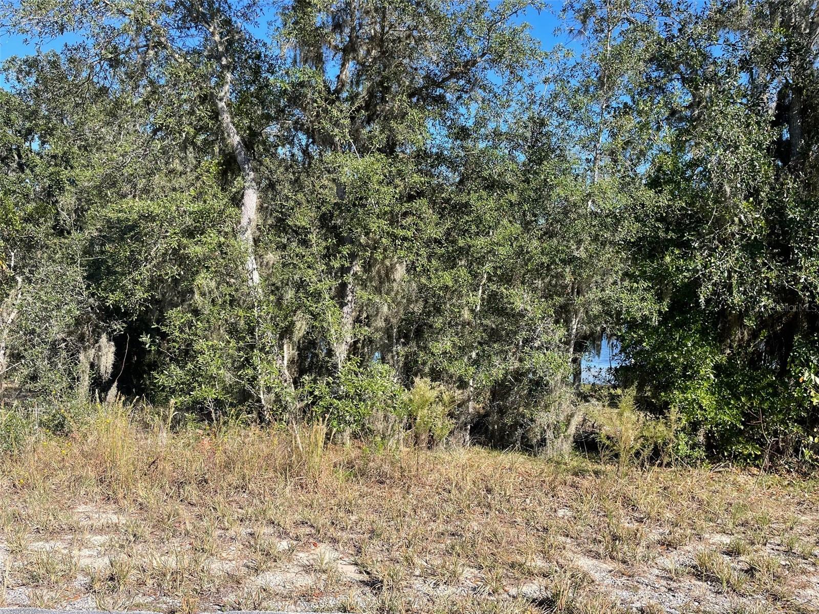 LOTS 444, 445 SW SHOREWOOD DR, DUNNELLON, FL