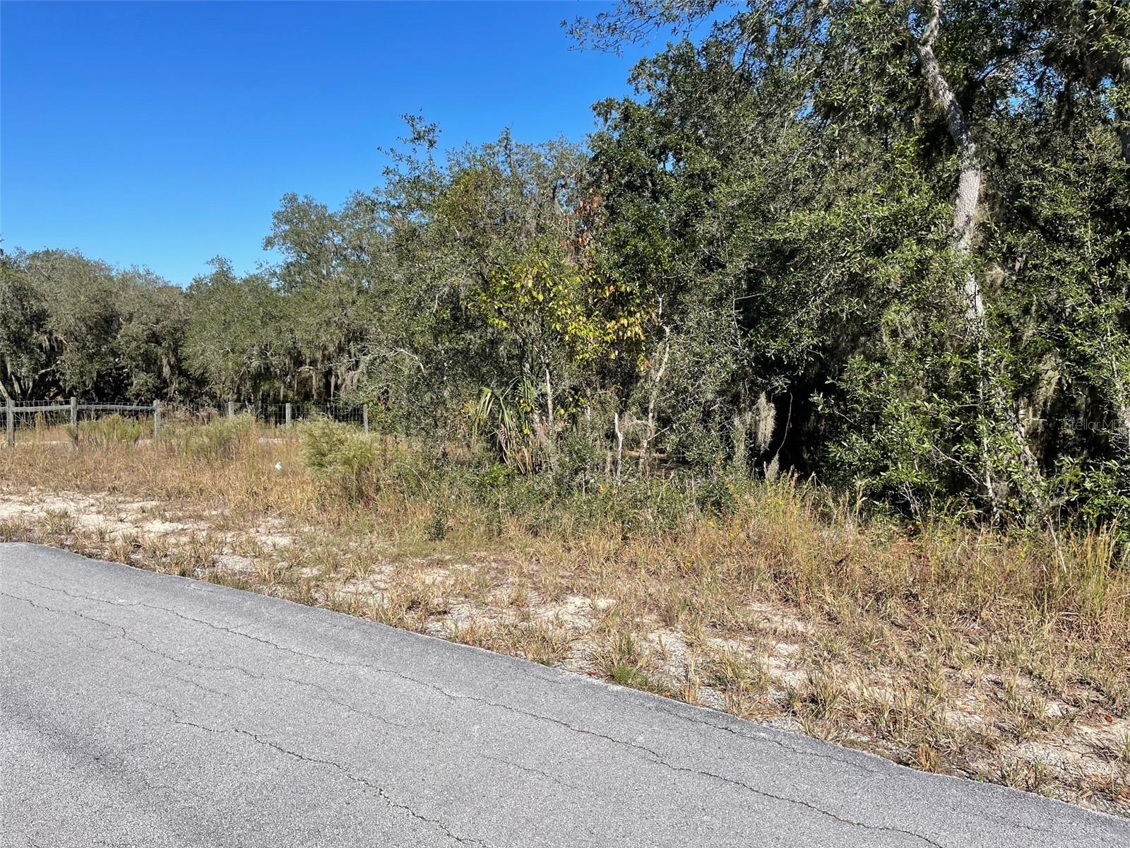 LOTS 444, 445 SW SHOREWOOD DR, DUNNELLON, FL — photo 2