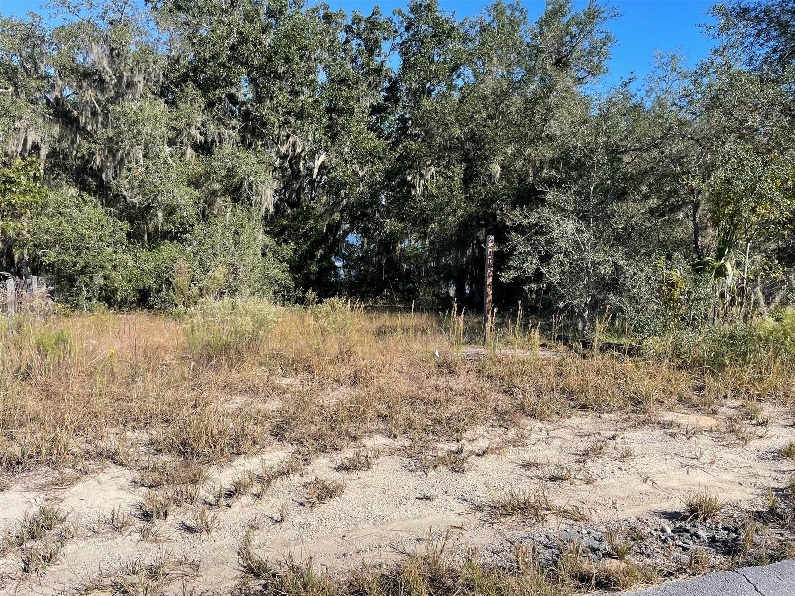 LOTS 444, 445 SW SHOREWOOD DR, DUNNELLON, FL — photo 3