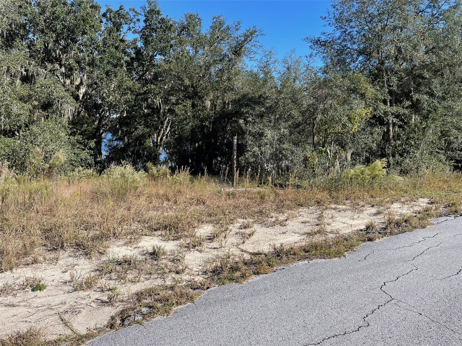 LOTS 444, 445 SW SHOREWOOD DR, DUNNELLON, FL — photo 4
