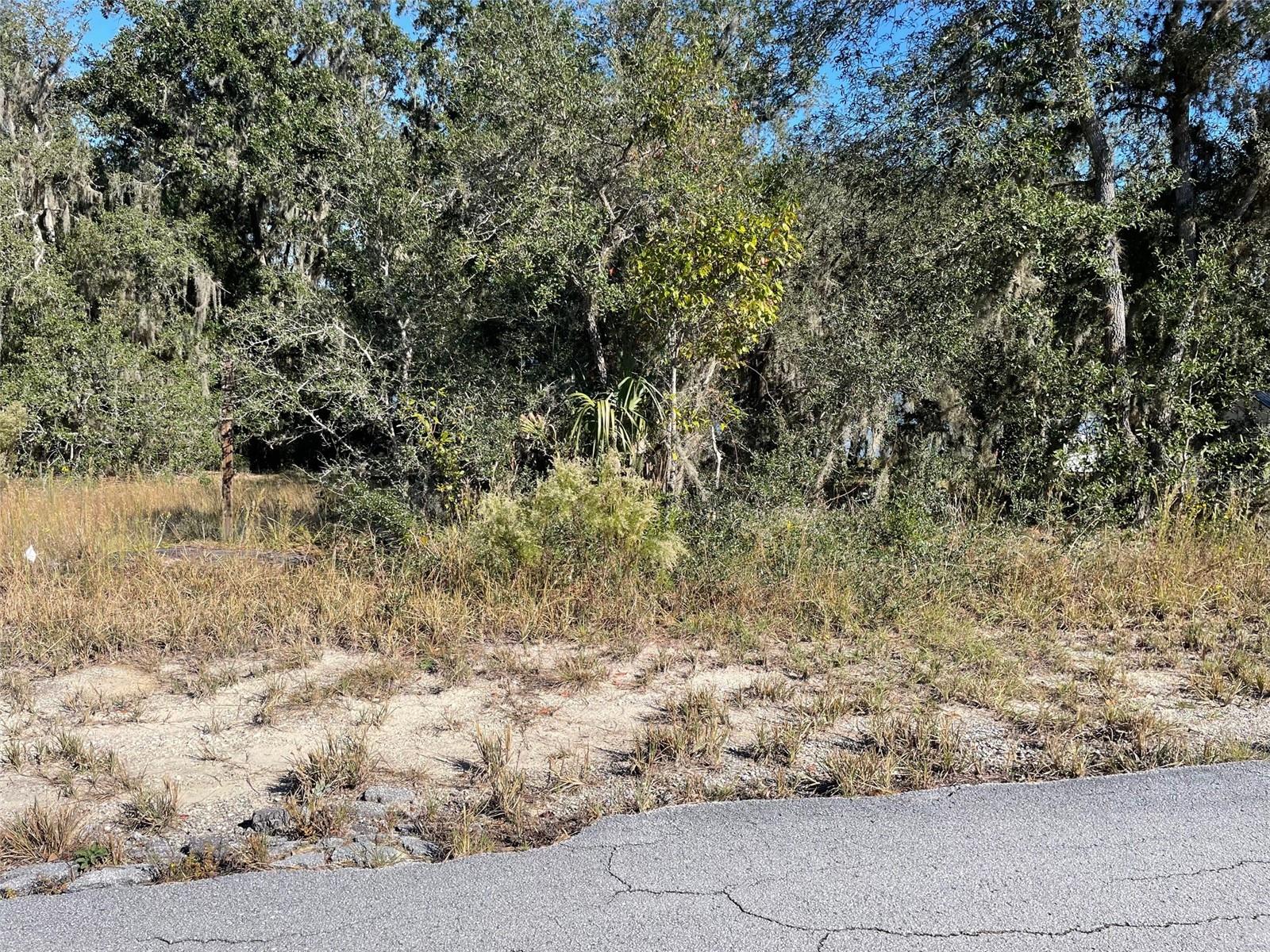 LOTS 444, 445 SW SHOREWOOD DR, DUNNELLON, FL — photo 5