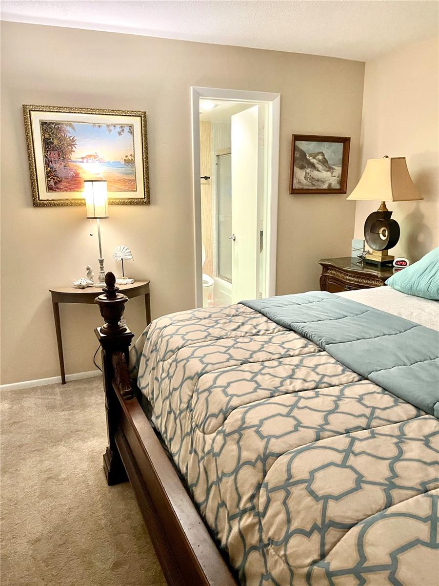 4650 COVE CIR #402, ST PETERSBURG, FL — photo 20
