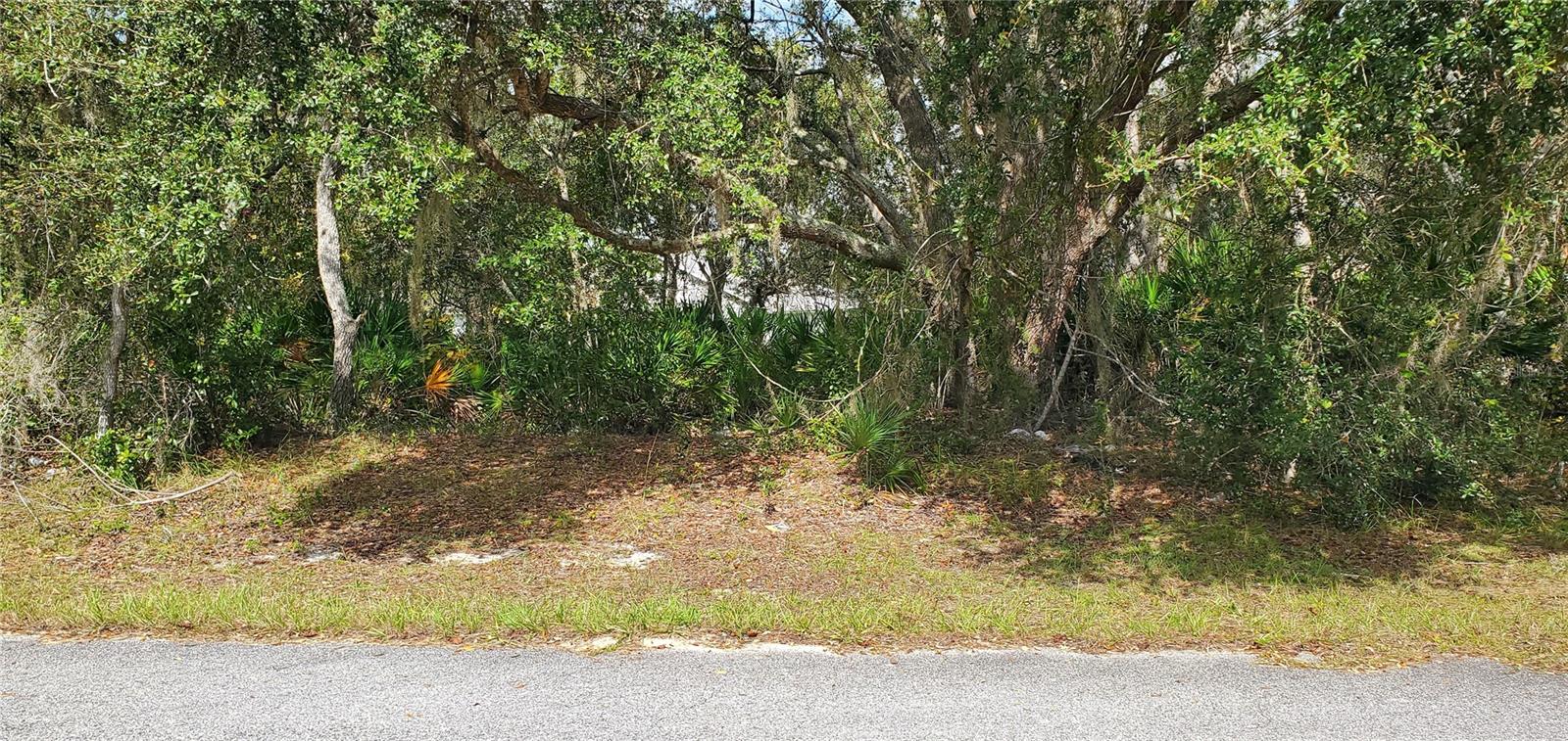 1227 ALAFIA WAY, KISSIMMEE, FL