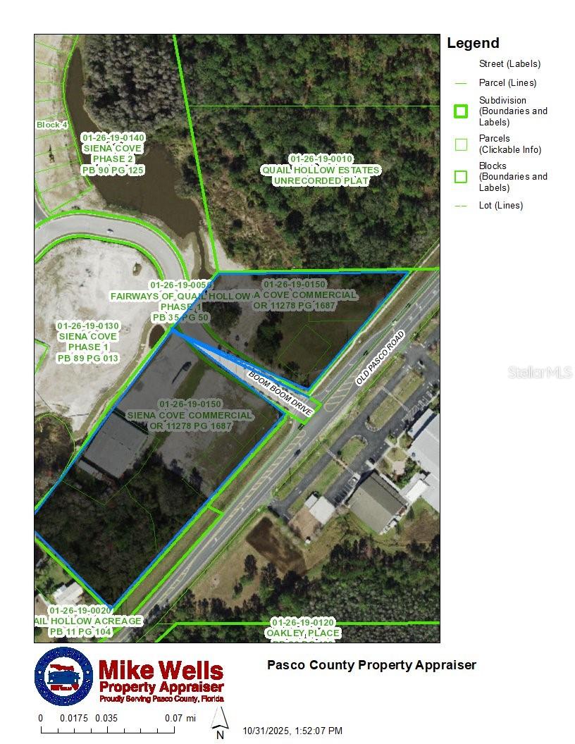 6243 OLD PASCO RD, WESLEY CHAPEL, FL