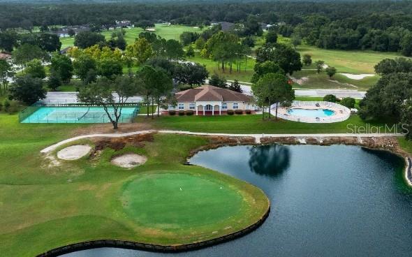 31530 WILD GRAPE LN, BROOKSVILLE, FL — photo 18