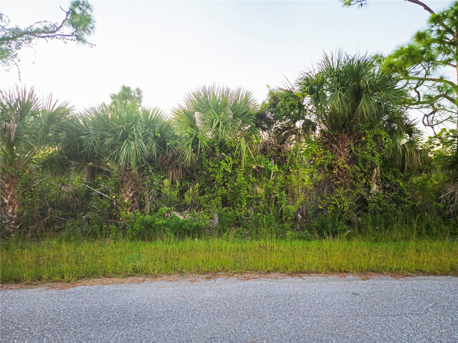 8297 DIMSTEAD ST, PORT CHARLOTTE, FL — photo 2