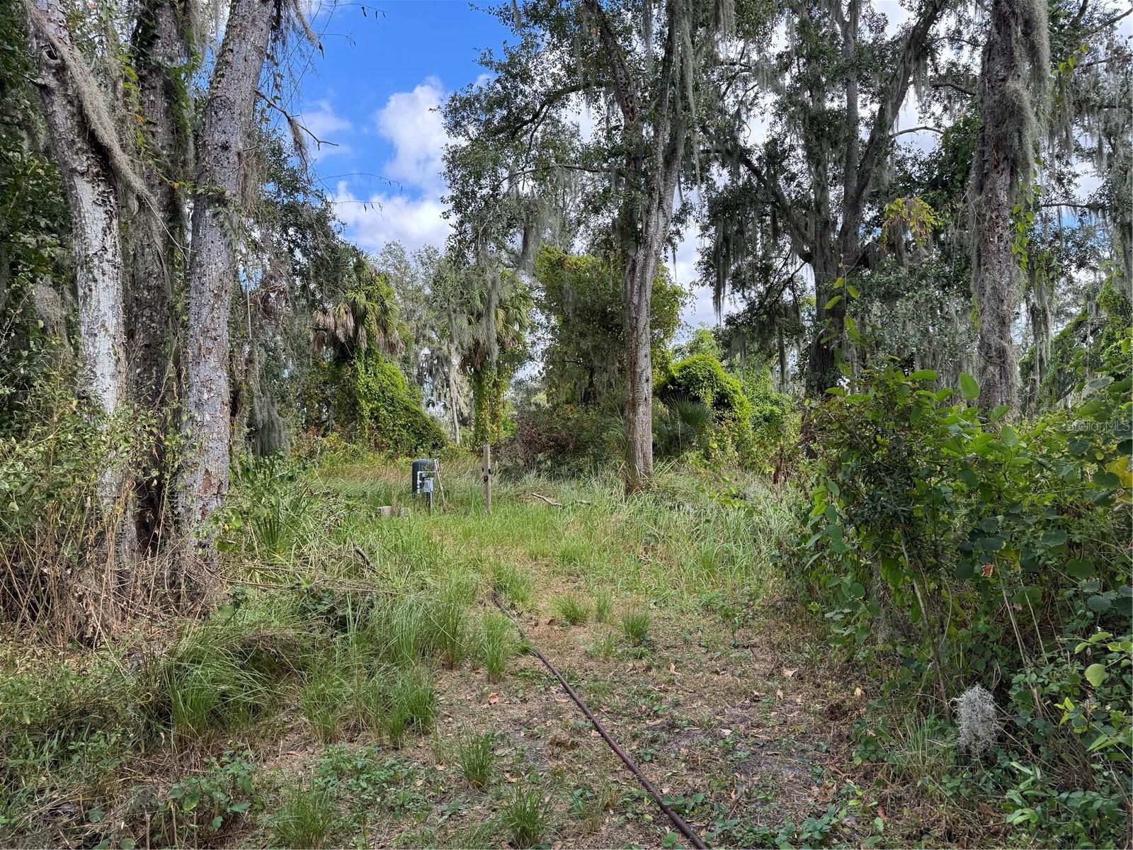 3721 PORTER RD, LITHIA, FL — photo 3
