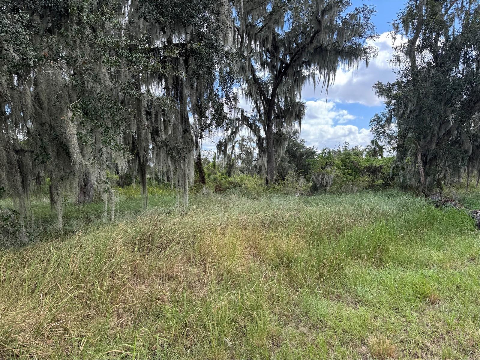 3721 PORTER RD, LITHIA, FL — photo 4