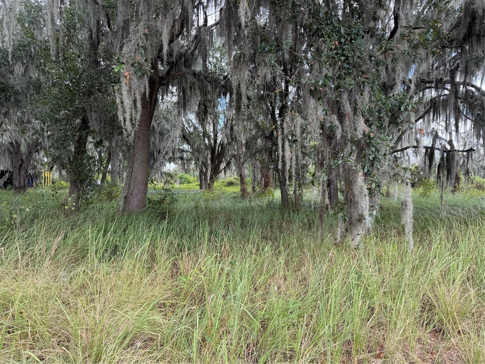 3721 PORTER RD, LITHIA, FL — photo 5