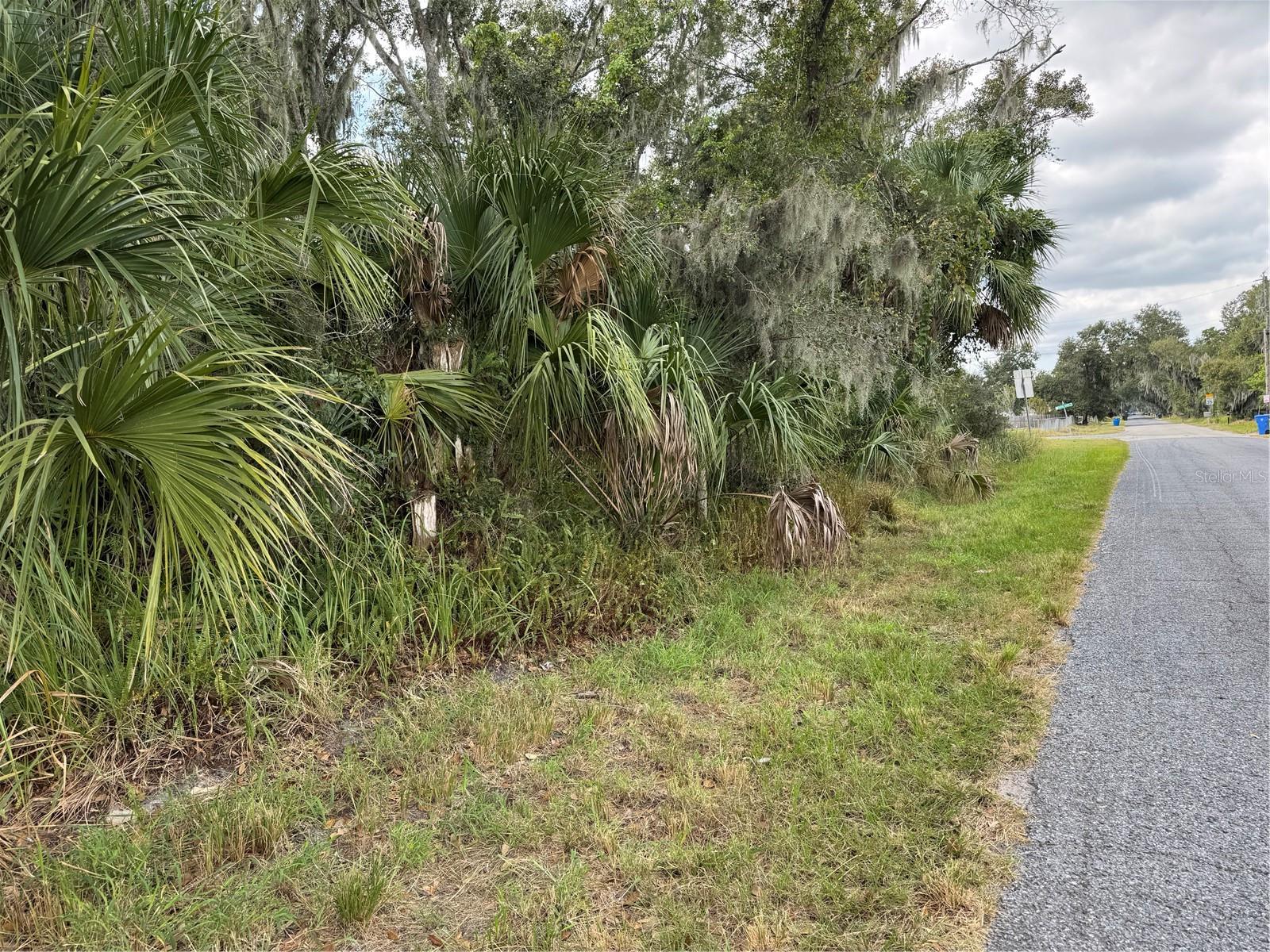 3721 PORTER RD, LITHIA, FL — photo 6