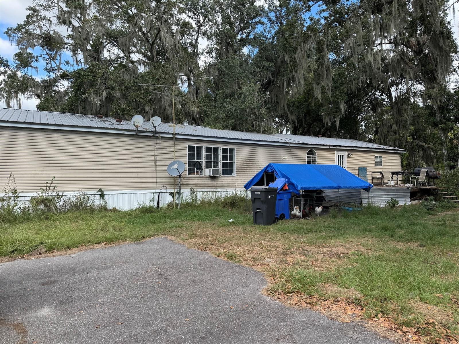 3721 PORTER RD, LITHIA, FL — photo 8