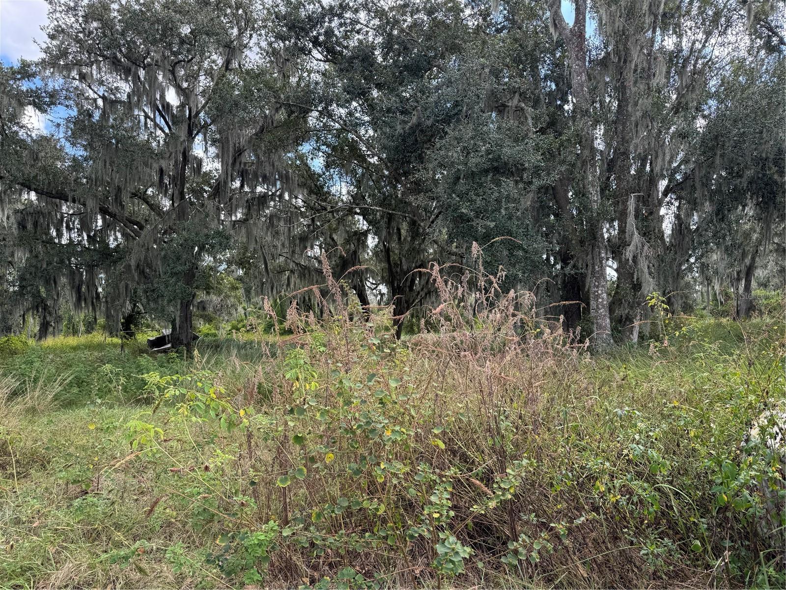 3721 PORTER RD, LITHIA, FL — photo 9