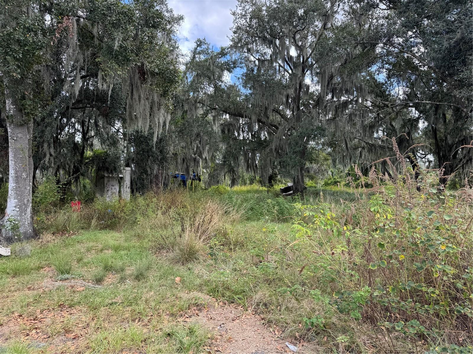 3721 PORTER RD, LITHIA, FL — photo 10