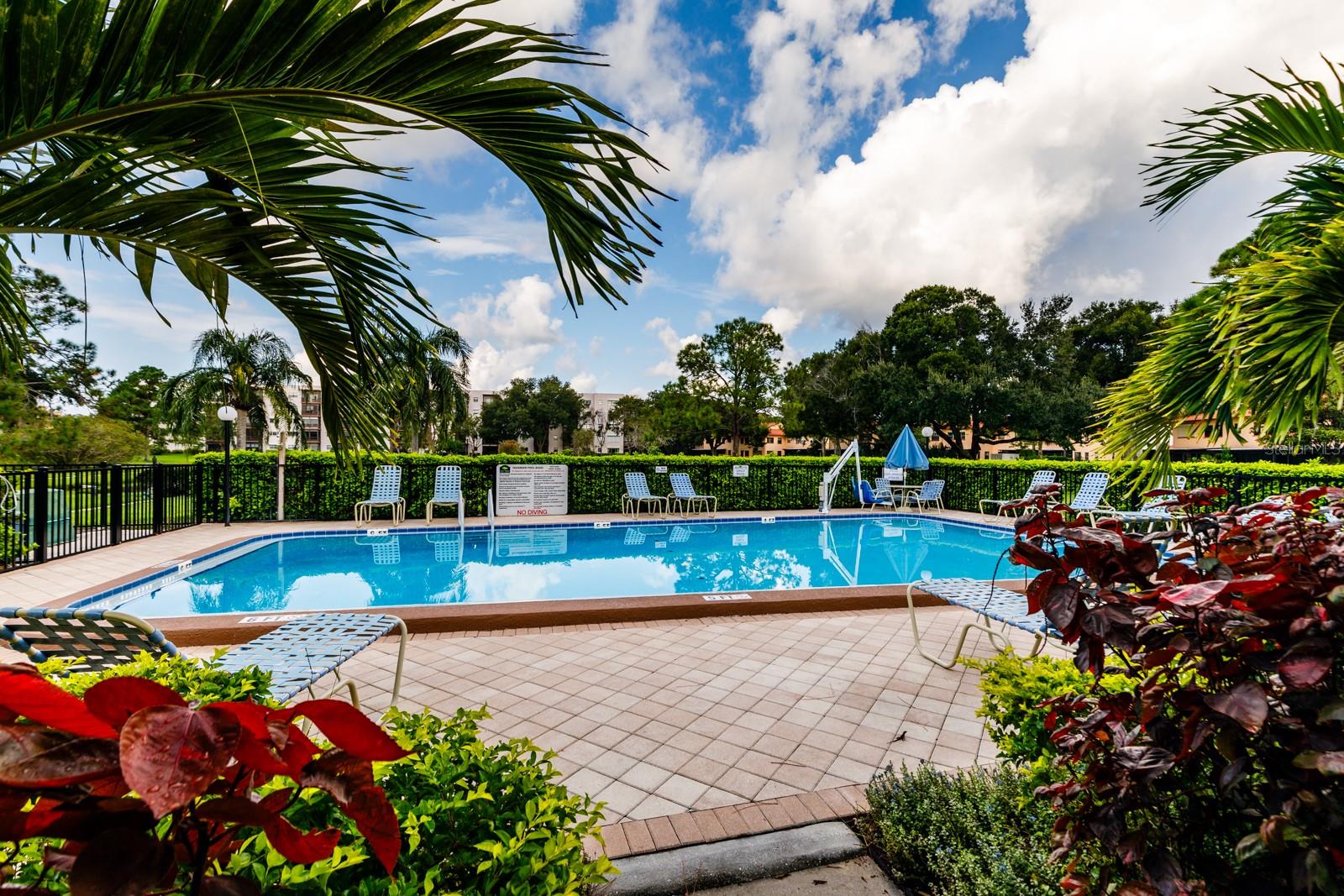 5623 80TH ST N #504, ST PETERSBURG, FL — photo 16