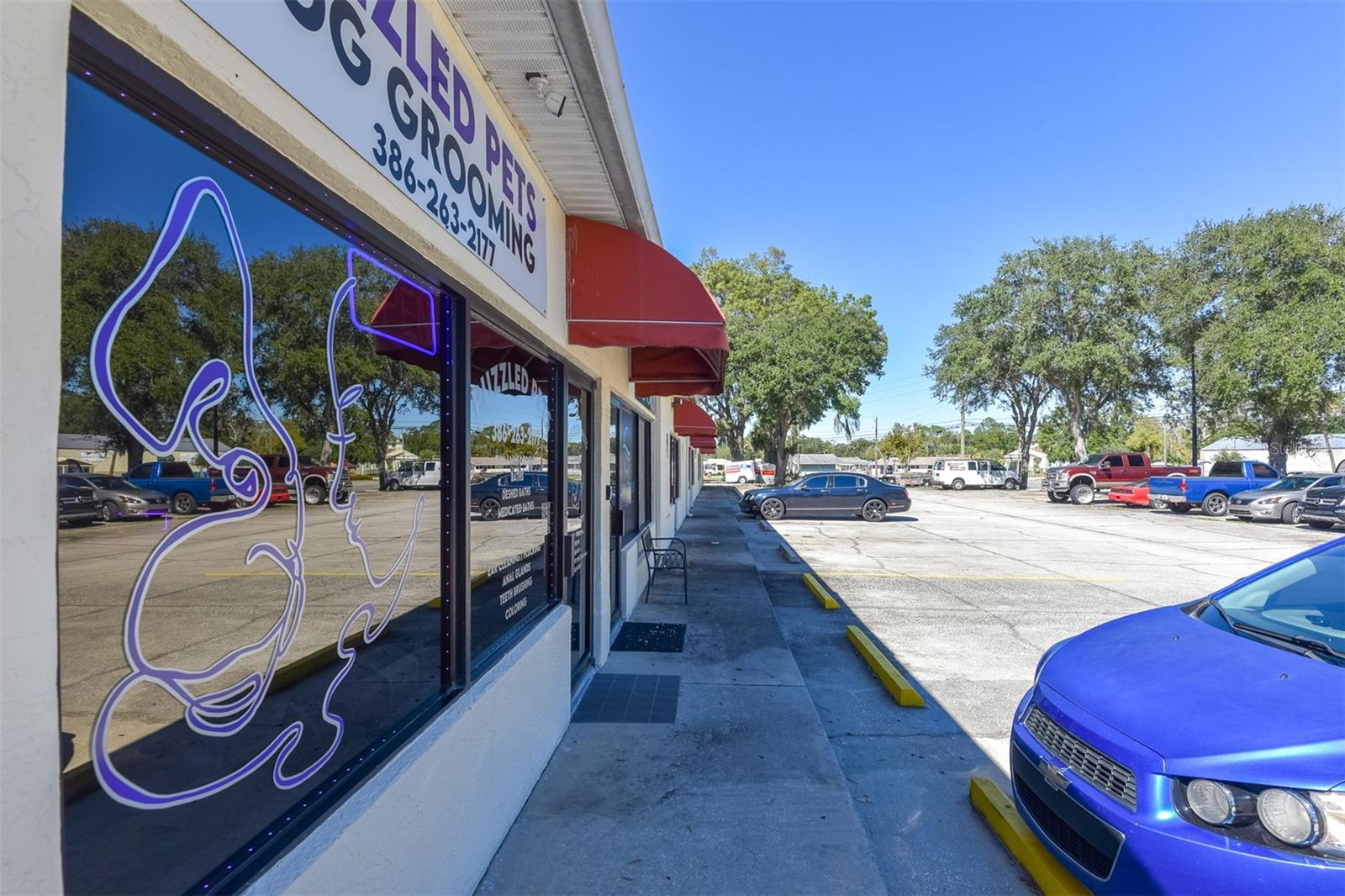 703 S STATE ST, BUNNELL, FL — photo 9