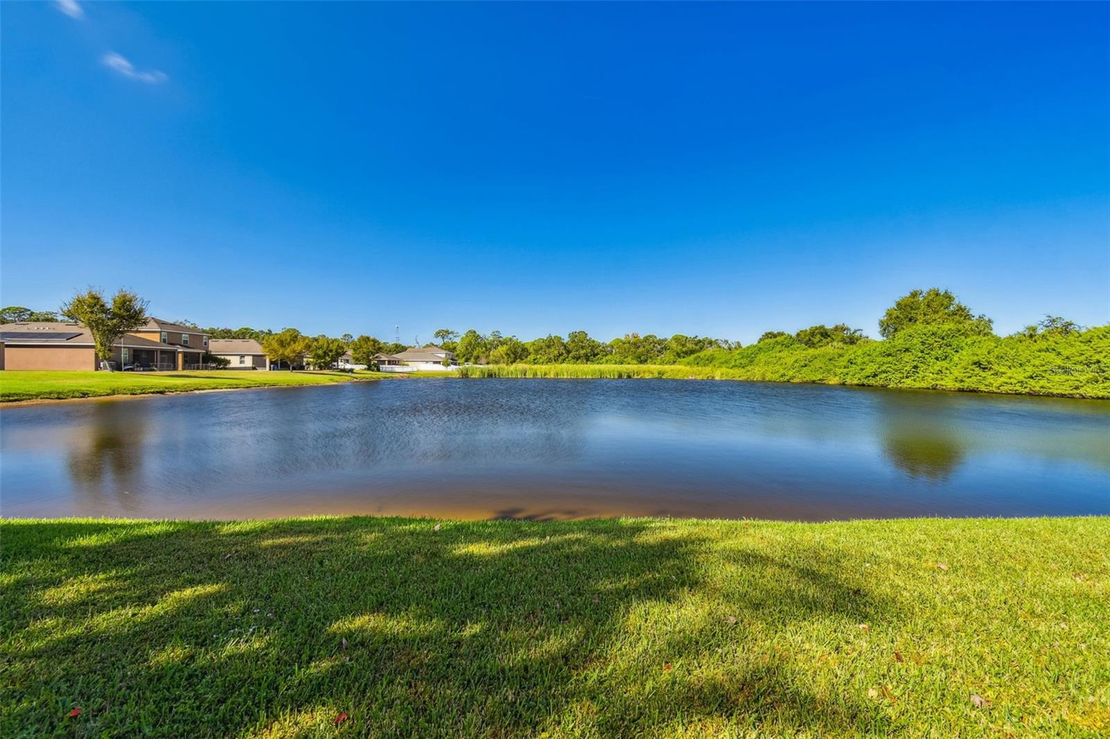 1110 LAUREN MANOR LOOP, RUSKIN, FL — photo 47