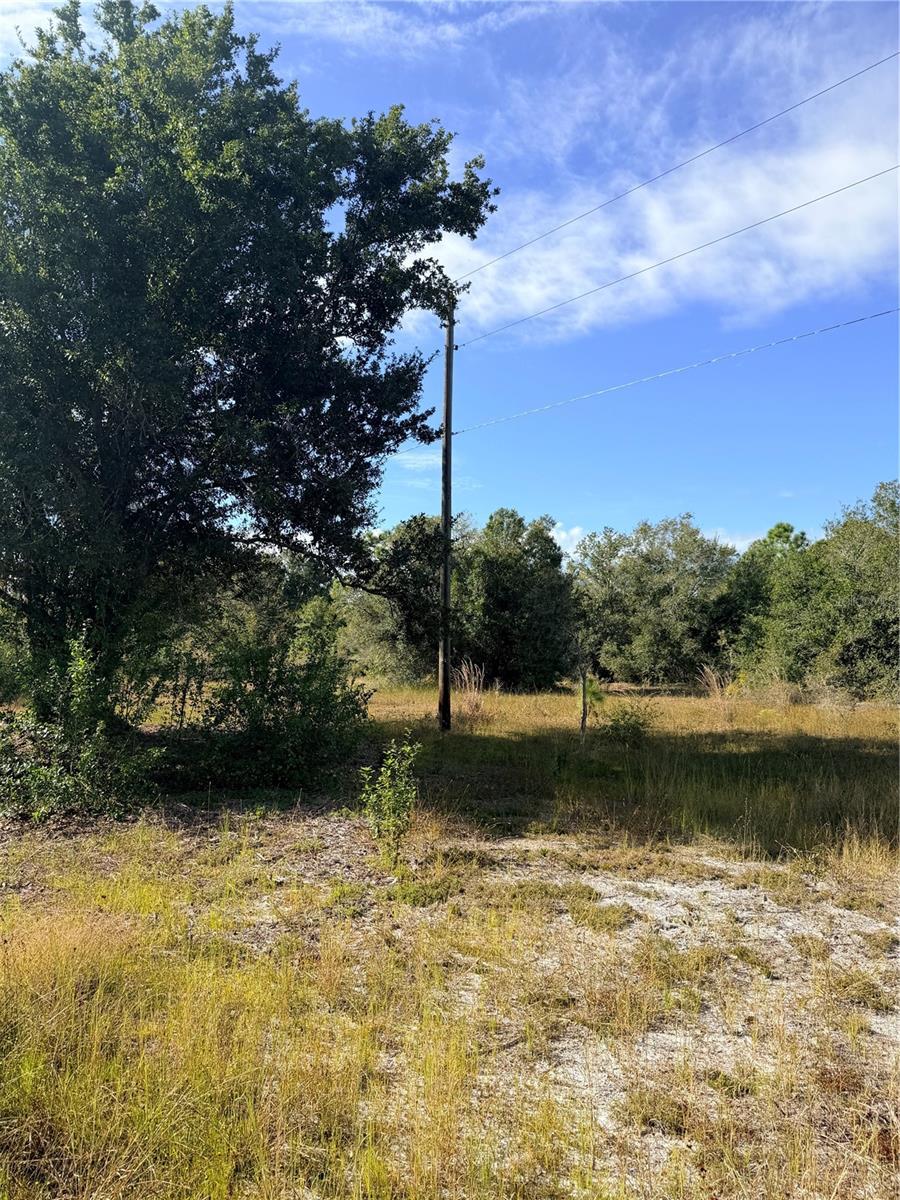 13263 BANYAN DR, PUNTA GORDA, FL — photo 4