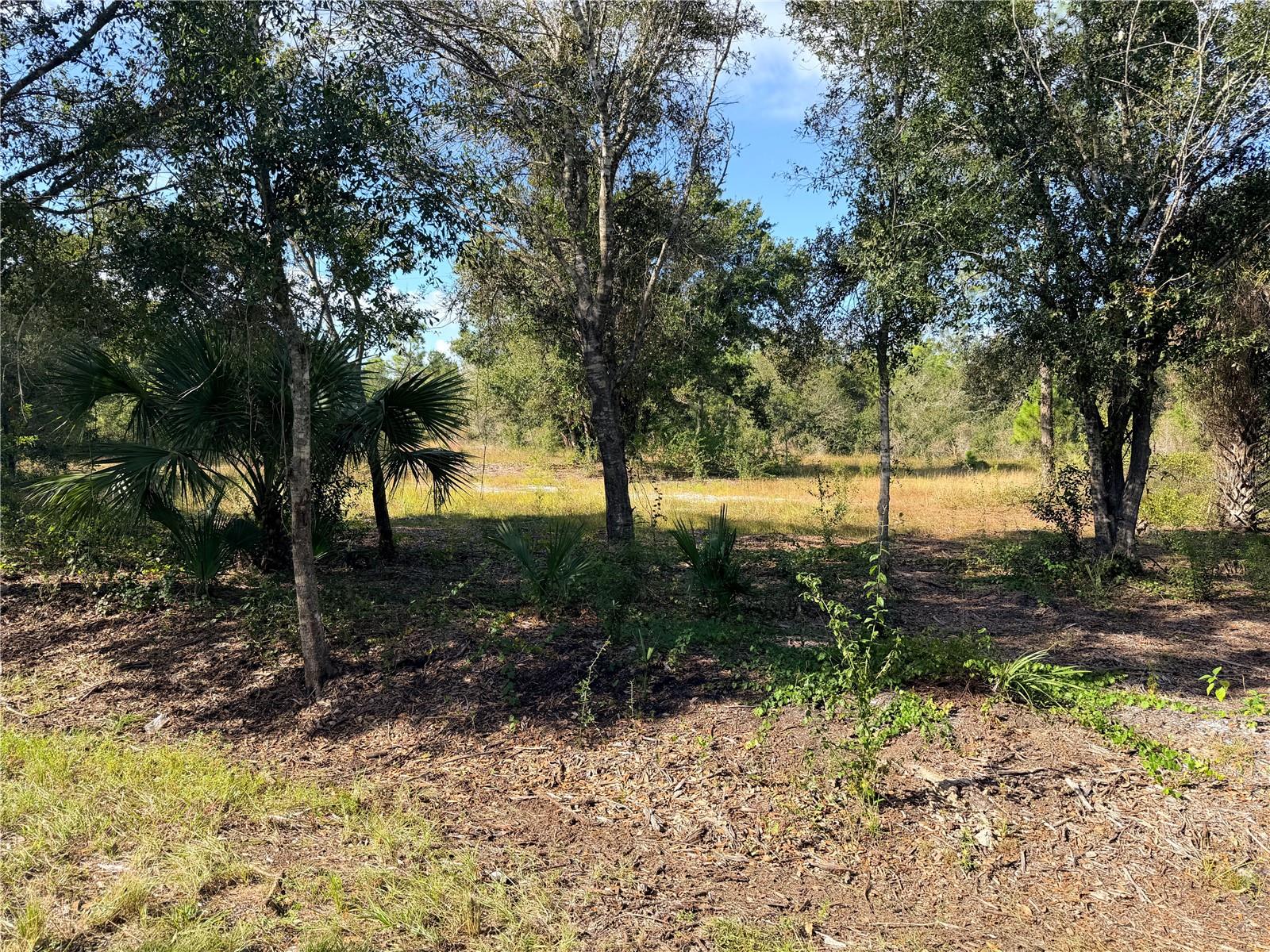 13263 BANYAN DR, PUNTA GORDA, FL — photo 5