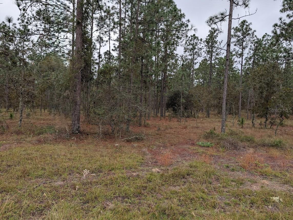 lot 13 NW GERANIUM AVE, DUNNELLON, FL