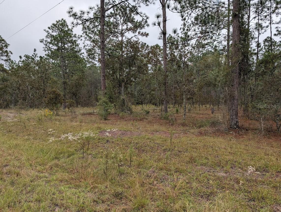 lot 13 NW GERANIUM AVE, DUNNELLON, FL — photo 2