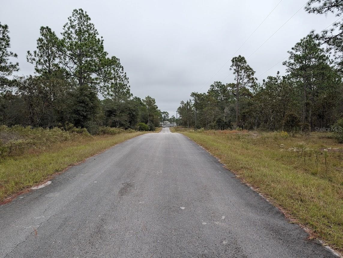 lot 13 NW GERANIUM AVE, DUNNELLON, FL — photo 3