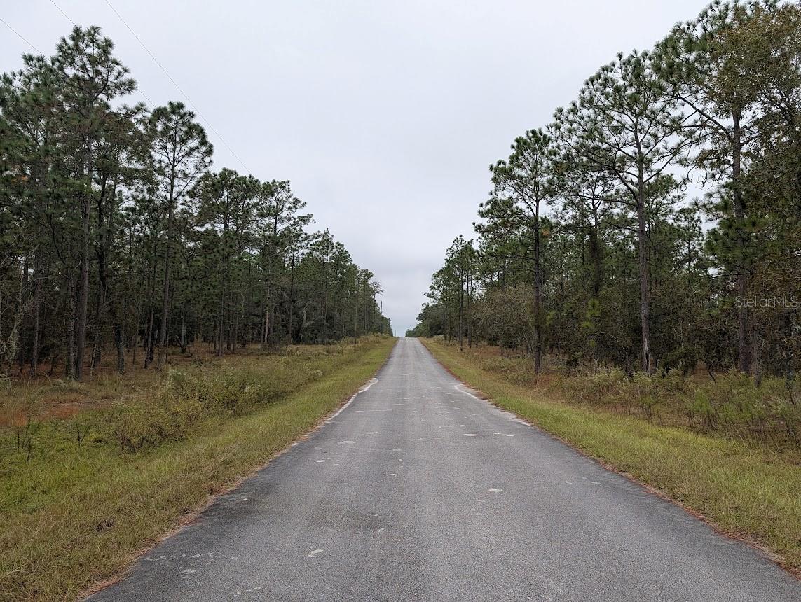lot 13 NW GERANIUM AVE, DUNNELLON, FL — photo 4