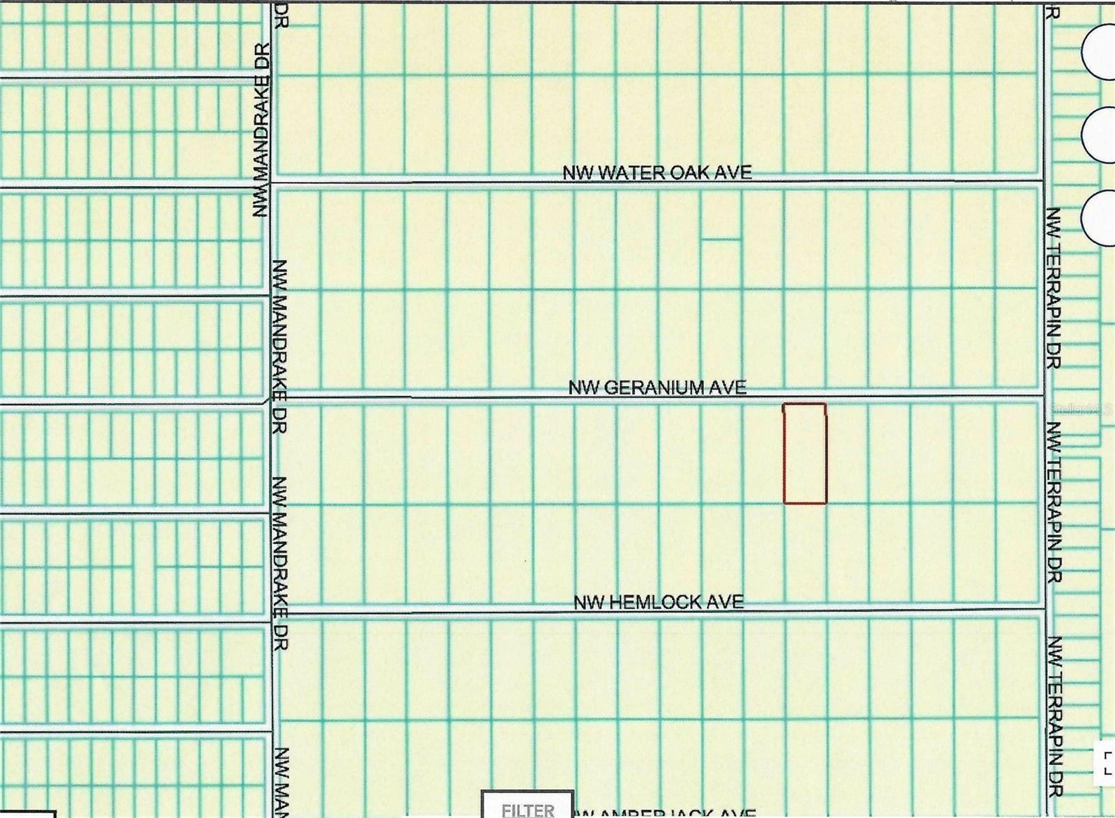 lot 13 NW GERANIUM AVE, DUNNELLON, FL — photo 6