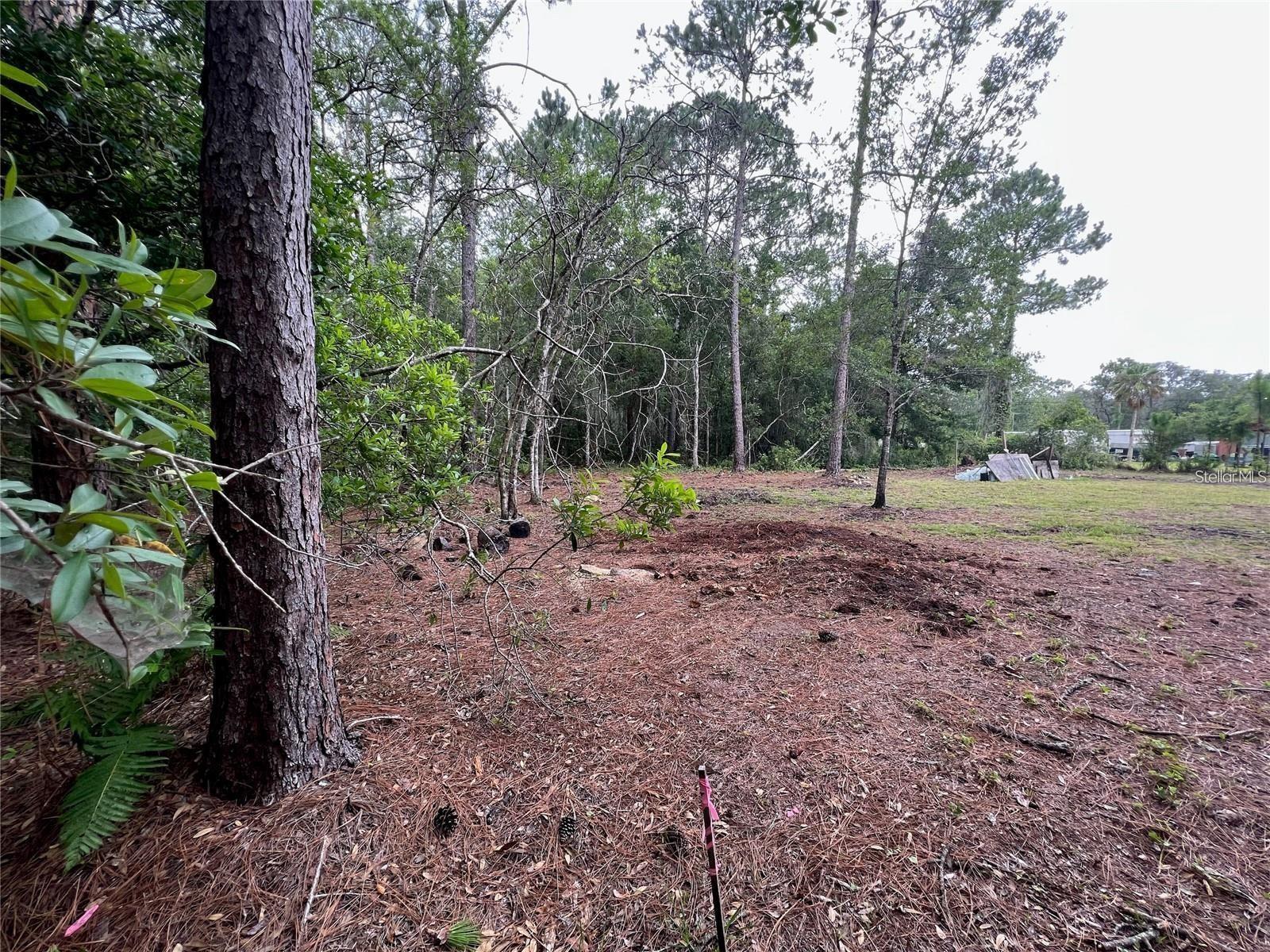 12955 RIO VISTA AVE, NEW PORT RICHEY, FL — photo 5