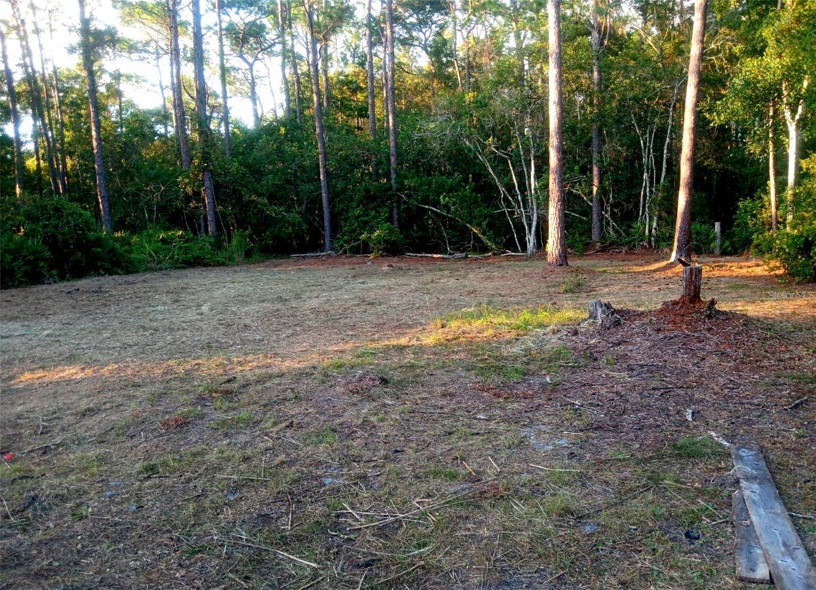 12955 RIO VISTA AVE, NEW PORT RICHEY, FL — photo 8