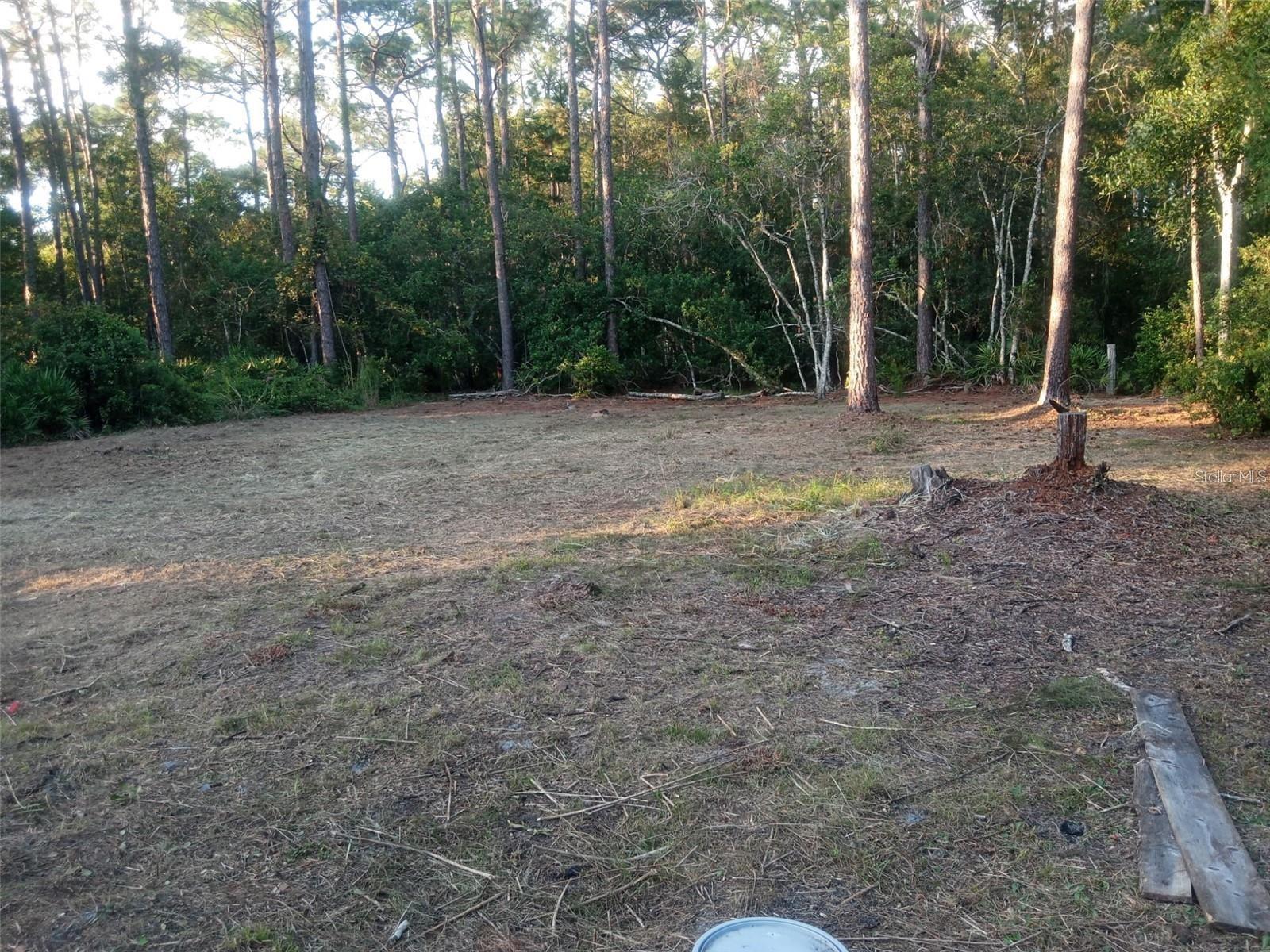 12955 RIO VISTA AVE, NEW PORT RICHEY, FL — photo 9