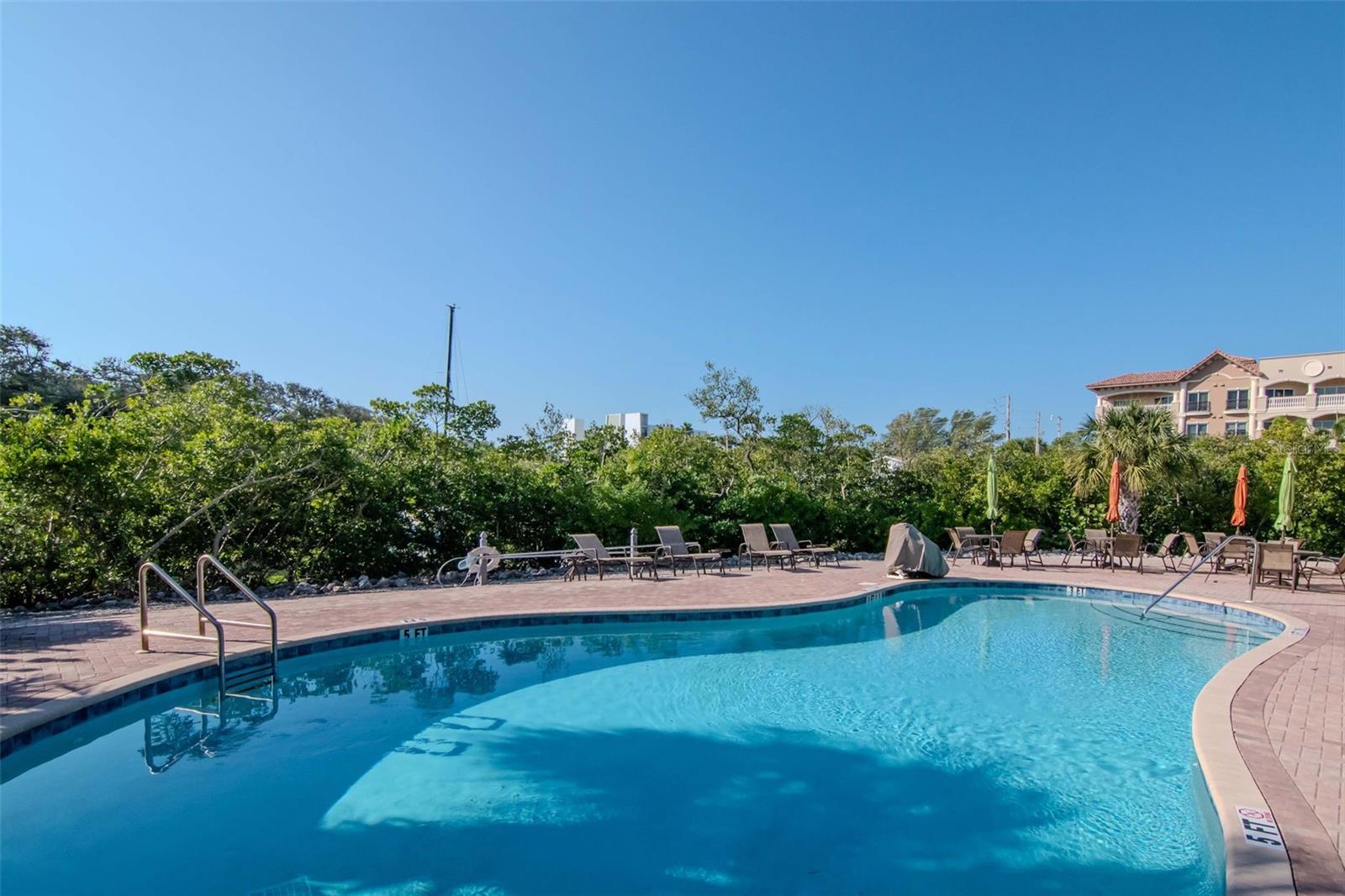 196 HAVEN BEACH DR, INDIAN ROCKS BEACH, FL — photo 49
