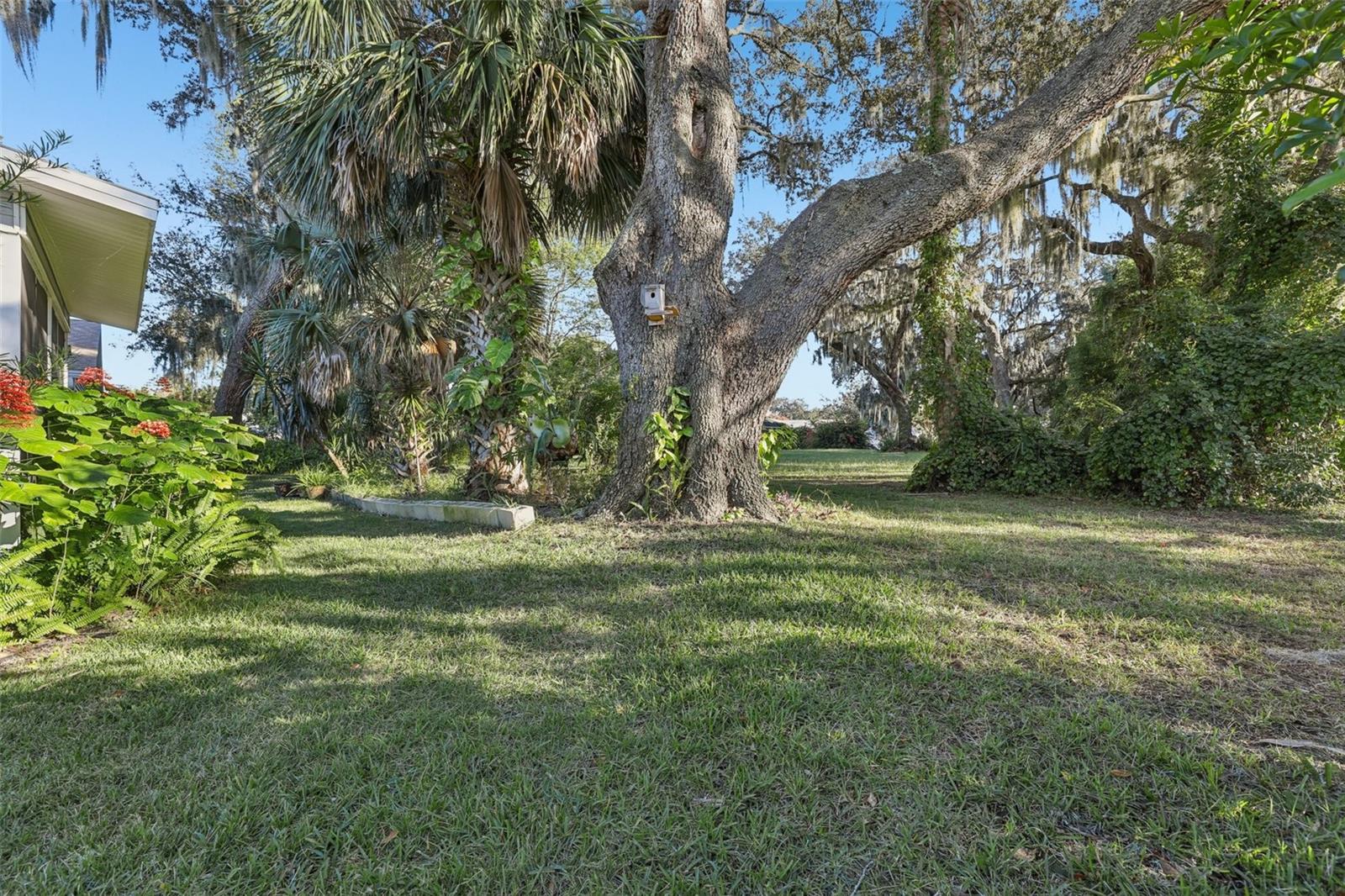 304 BRIGADOON CIR, LEESBURG, FL — photo 71