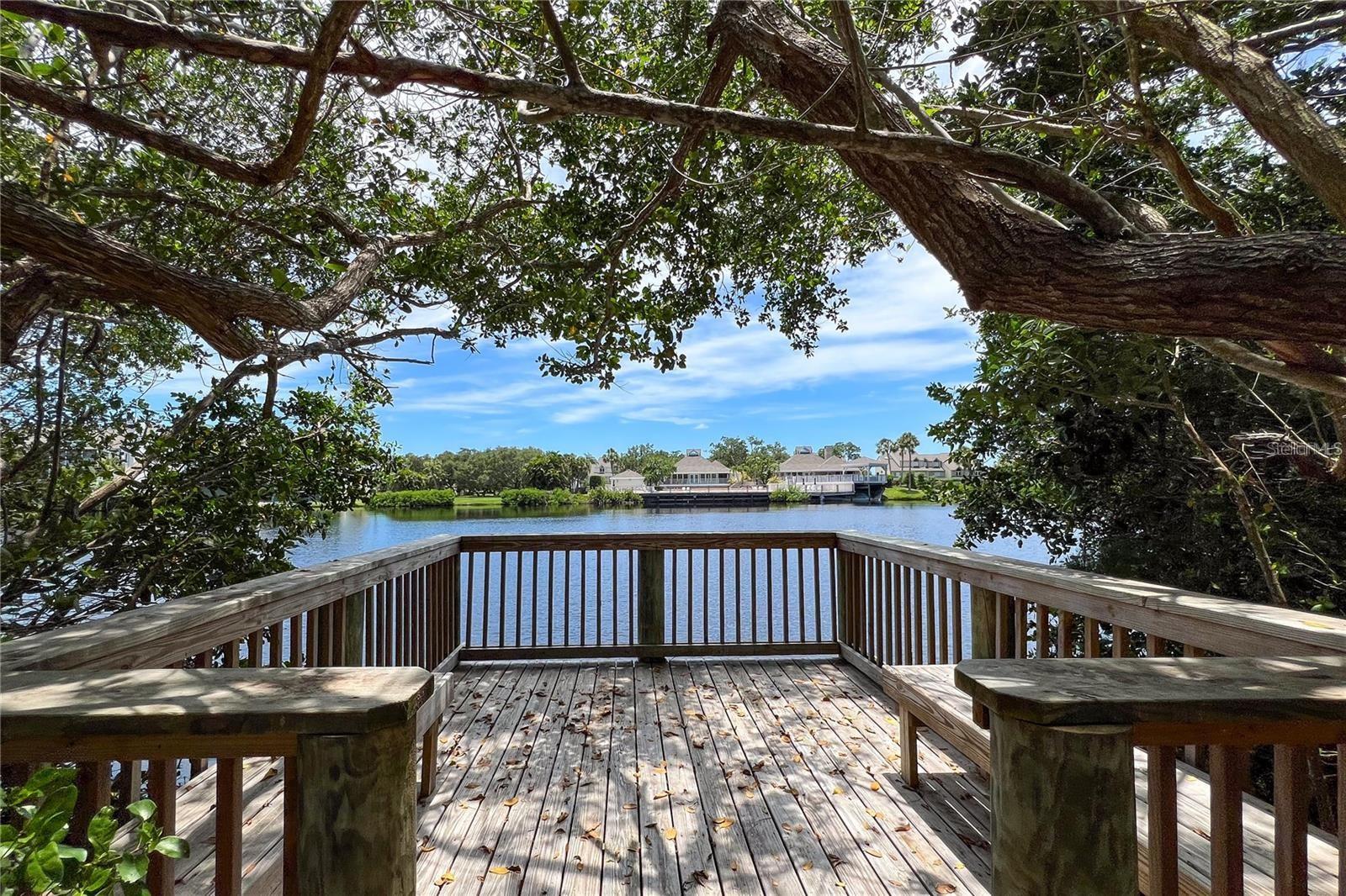 12 TIDY ISLAND BLVD, BRADENTON, FL — photo 94